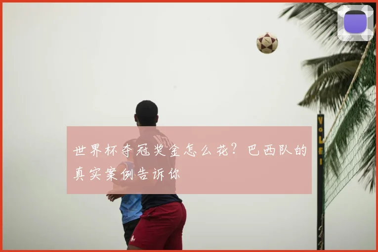 世界杯夺冠奖金怎么花？巴西队的真实案例告诉你
