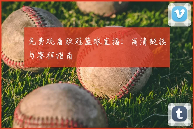 免费观看欧冠篮球直播：高清链接与赛程指南