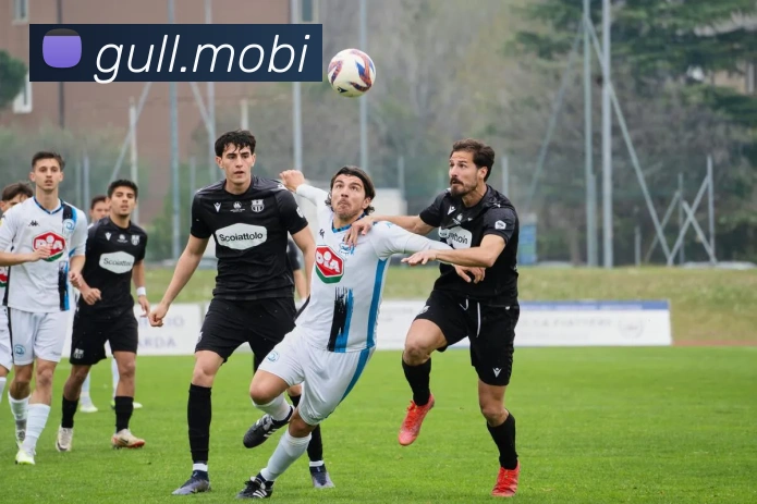 奇异果app官网入口平台生态图