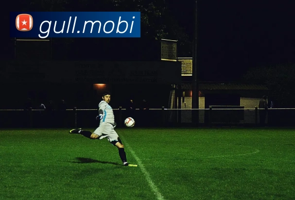 奇异果app官网入口APP 封面图